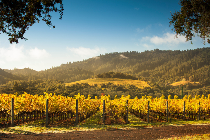 Napa winery
